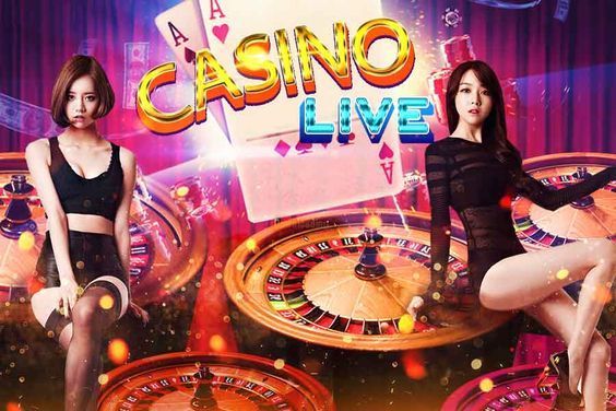 پاکستان میں slotwolf casino قانونی ہے۔